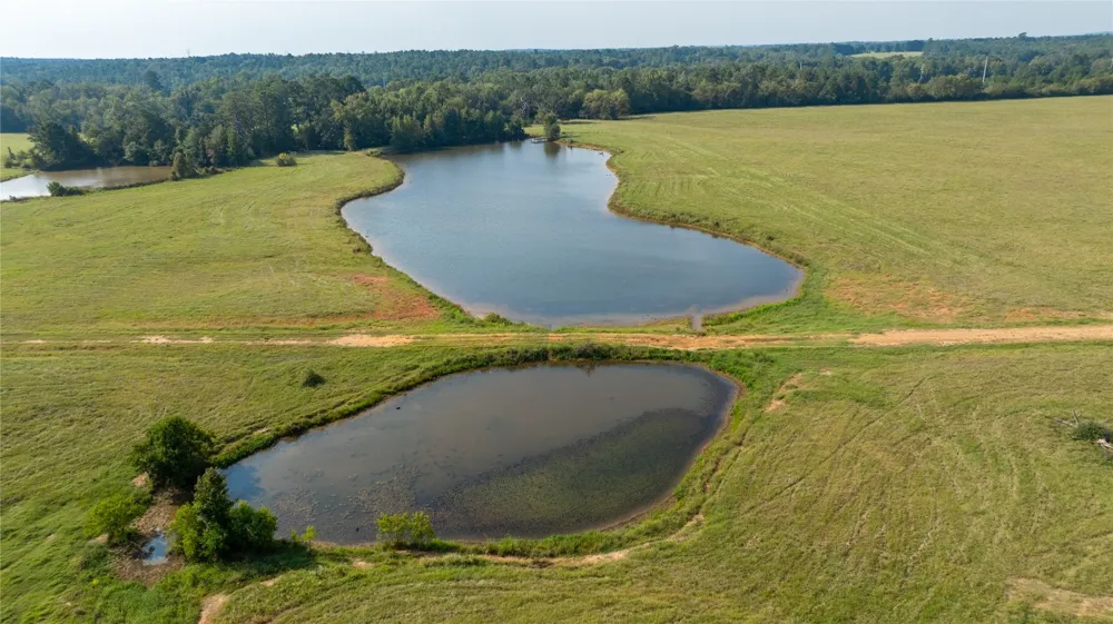 1206 County Road 1515 Crockett, TX 75835