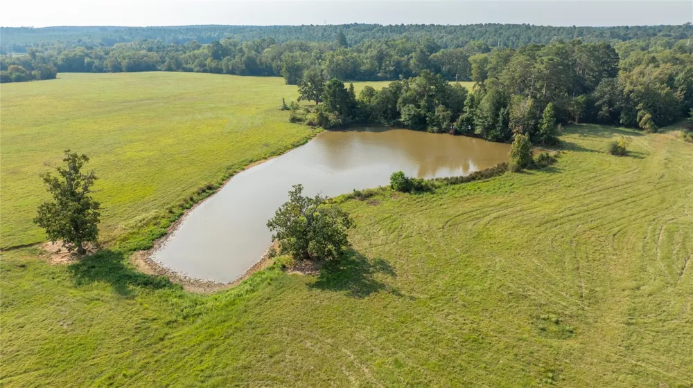1206 County Road 1515 Crockett, TX 75835
