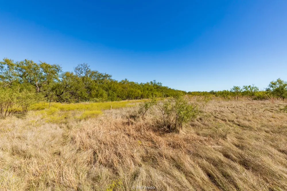 US Hwy 83 N Ovalo, TX 79541