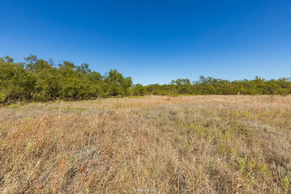 US Hwy 83 N Ovalo, TX 79541