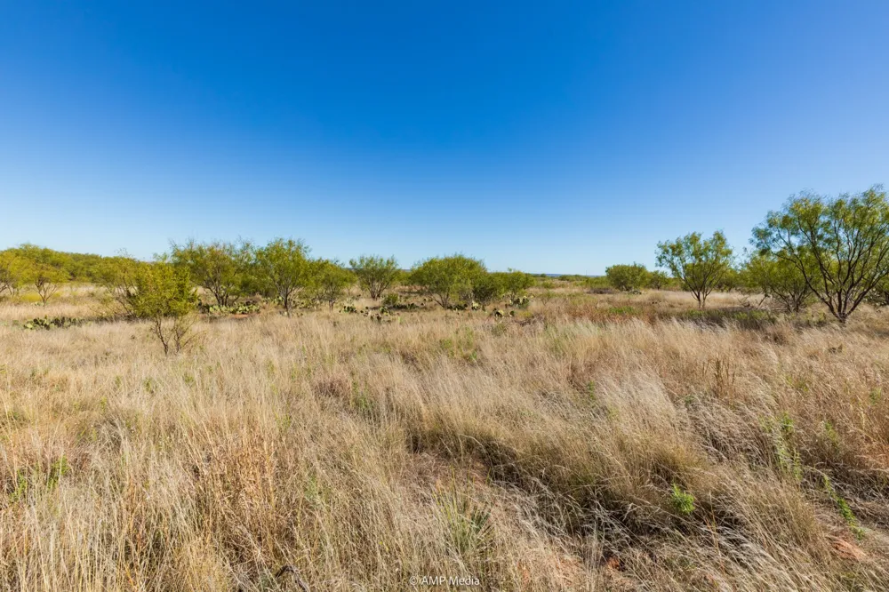 US Hwy 83 N Ovalo, TX 79541