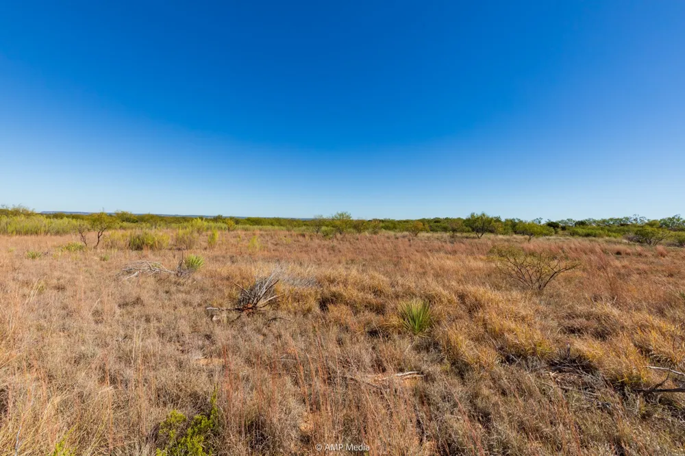 US Hwy 83 N Ovalo, TX 79541