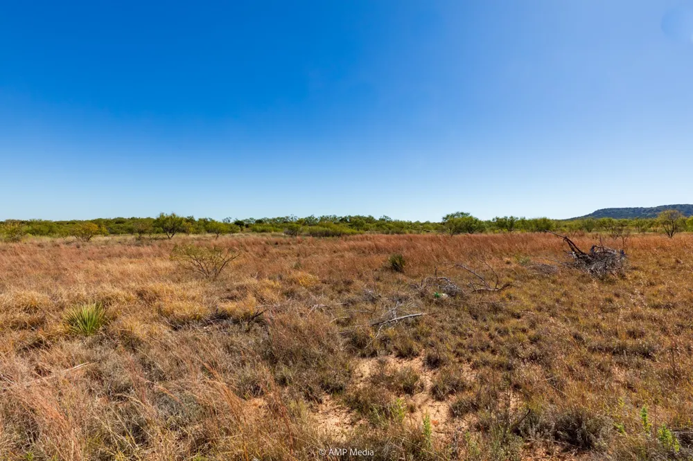 US Hwy 83 N Ovalo, TX 79541