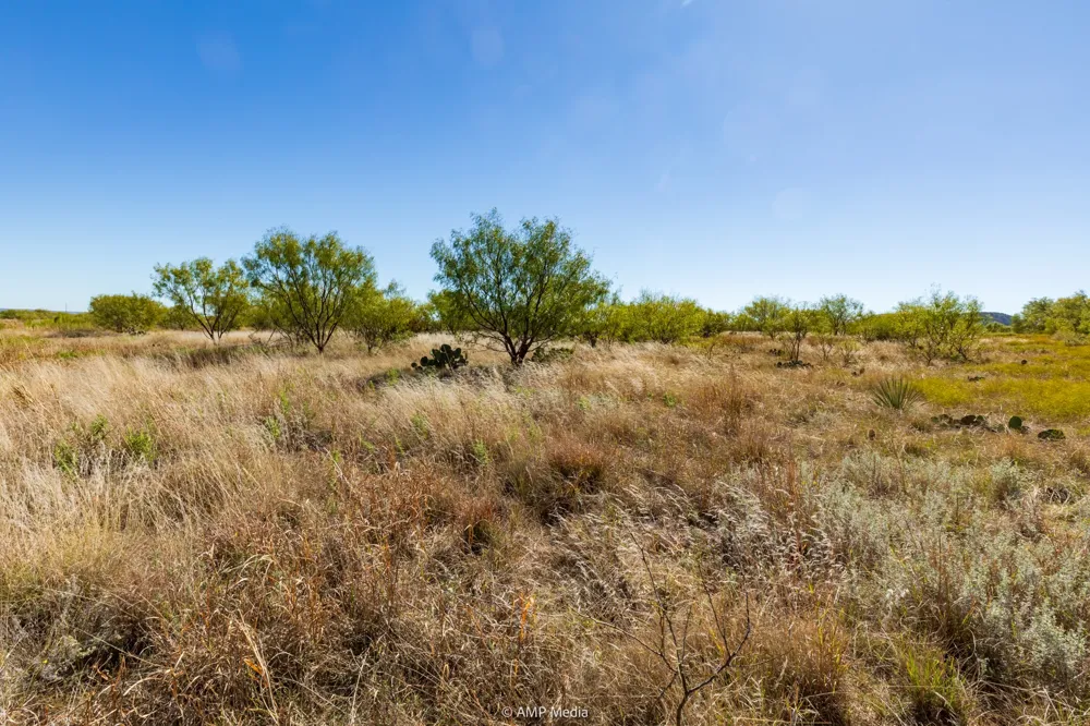 US Hwy 83 N Ovalo, TX 79541