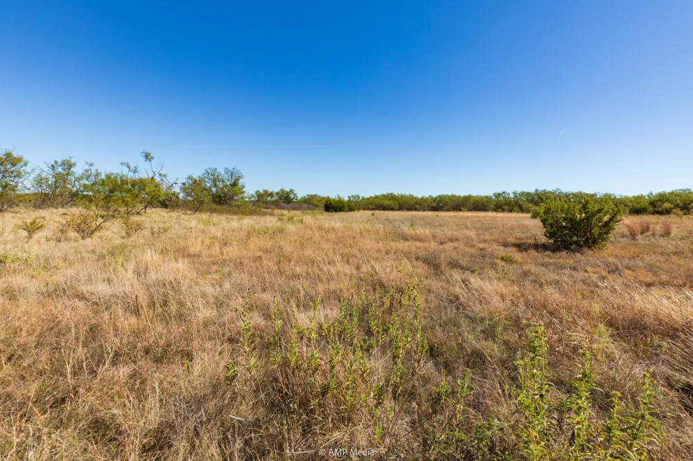 US Hwy 83 N Ovalo, TX 79541