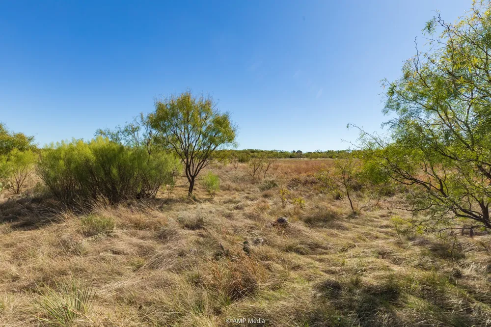 US Hwy 83 N Ovalo, TX 79541