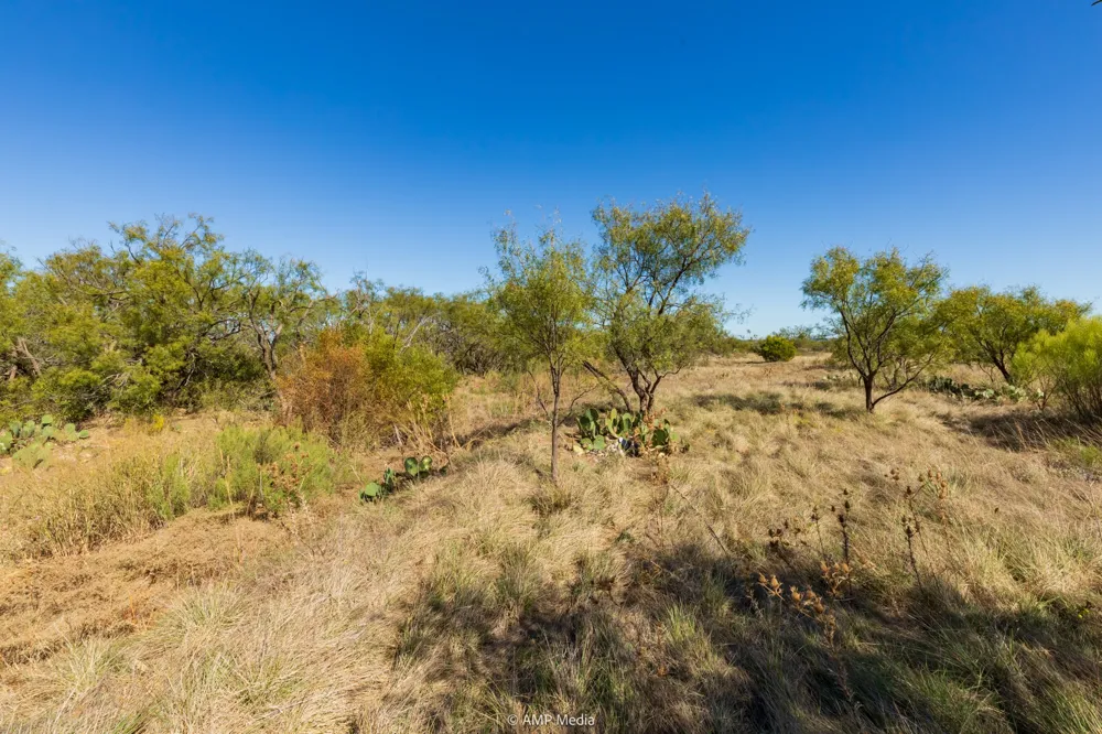 US Hwy 83 N Ovalo, TX 79541