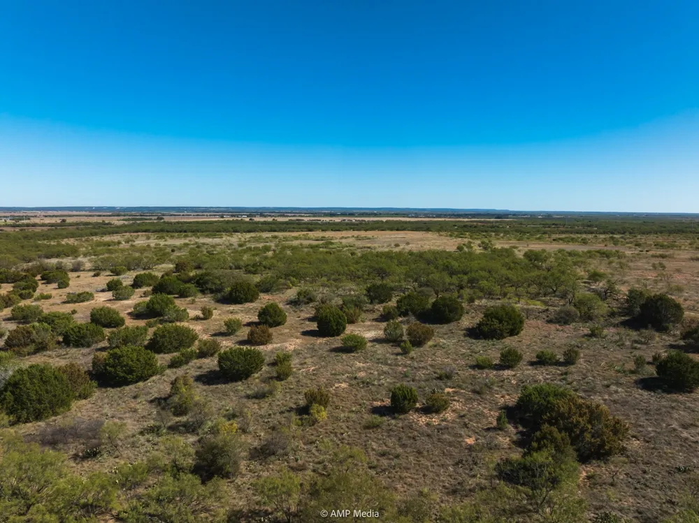 US Hwy 83 N Ovalo, TX 79541