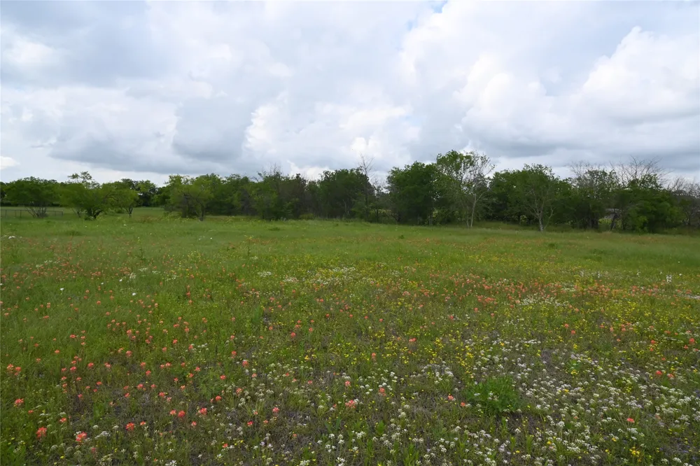 109 Hillridge Lane Maypearl, TX 76064