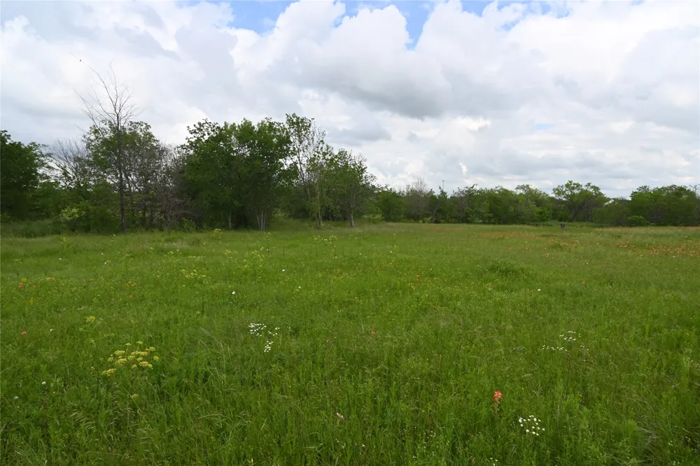 109 Hillridge Lane Maypearl, TX 76064