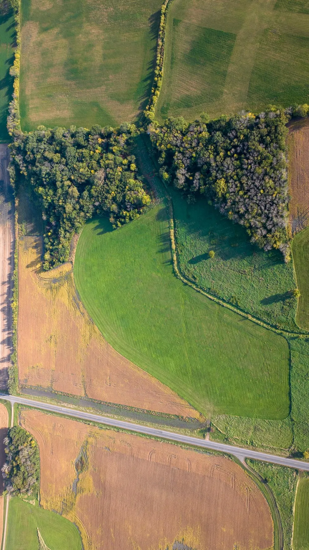 TBD County Rd. 50 Carver, MN 55315
