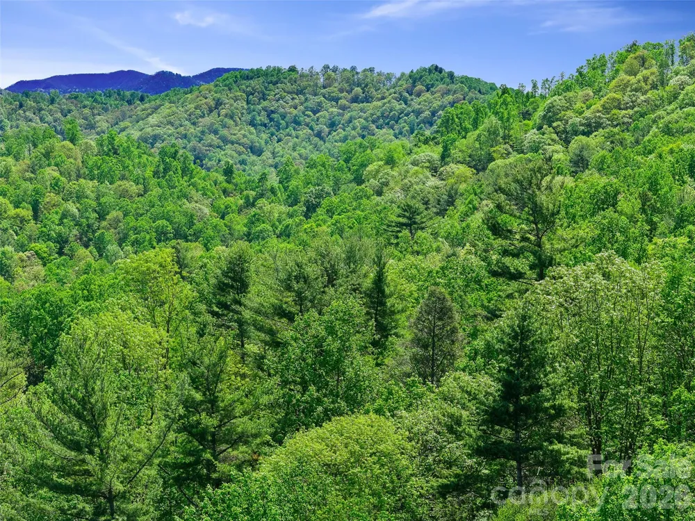 615 Fred Sparks Road Bakersville, NC 28705