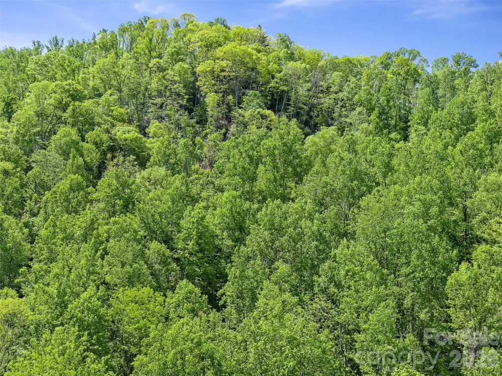 615 Fred Sparks Road Bakersville, NC 28705