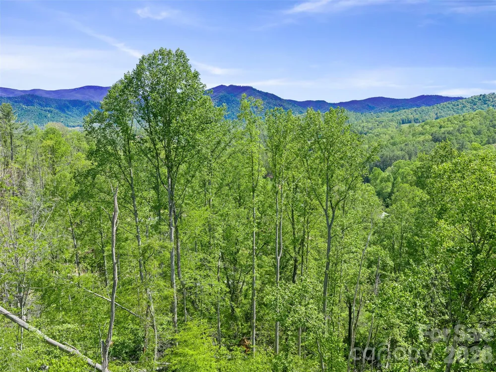 615 Fred Sparks Road Bakersville, NC 28705