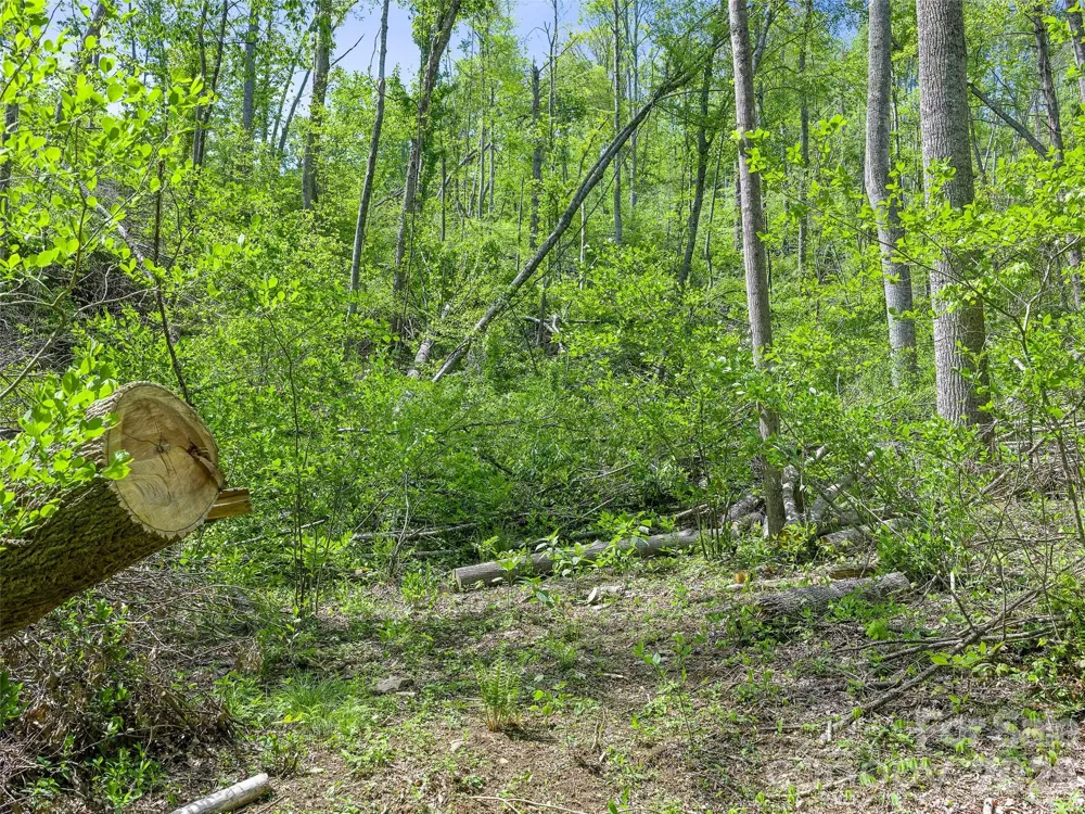 615 Fred Sparks Road Bakersville, NC 28705