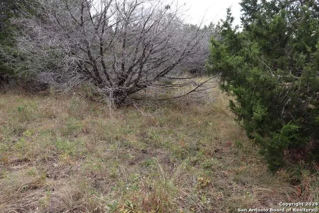 24 Quiet Meadow Cir Wimberley, TX 78676