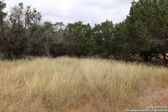 24 Quiet Meadow Cir Wimberley, TX 78676