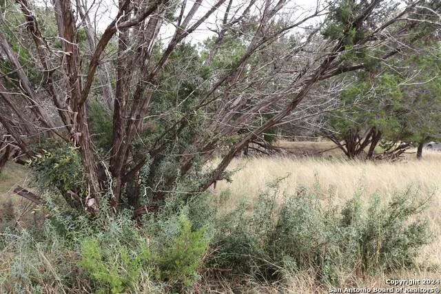 24 Quiet Meadow Cir Wimberley, TX 78676