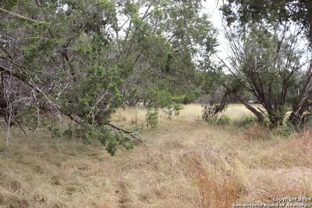 24 Quiet Meadow Cir Wimberley, TX 78676