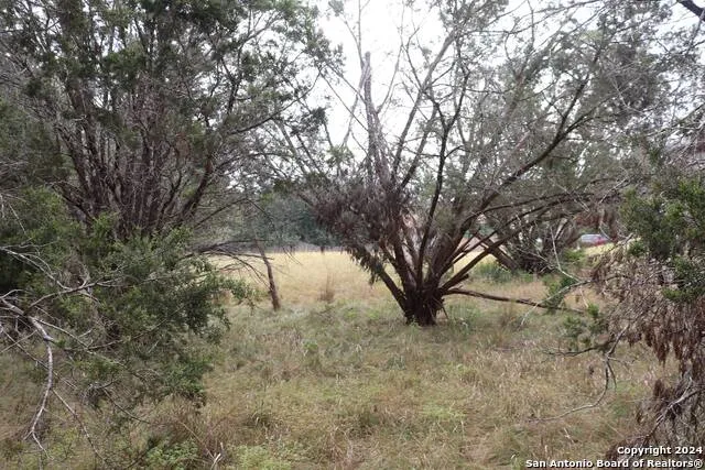 24 Quiet Meadow Cir Wimberley, TX 78676