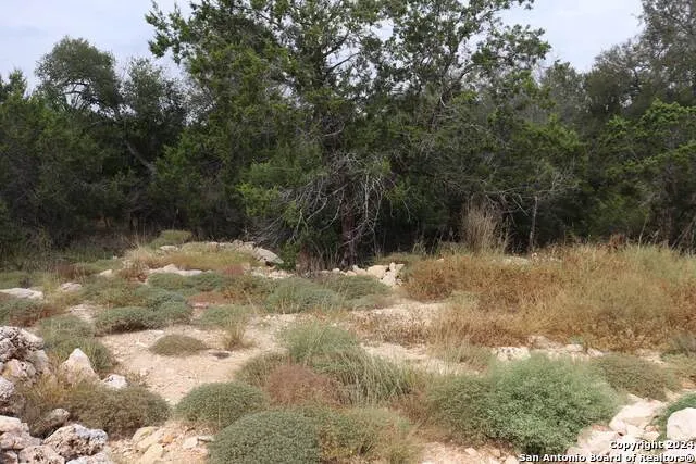 24 Quiet Meadow Cir Wimberley, TX 78676