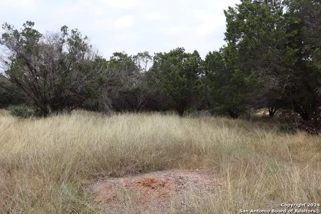 24 Quiet Meadow Cir Wimberley, TX 78676