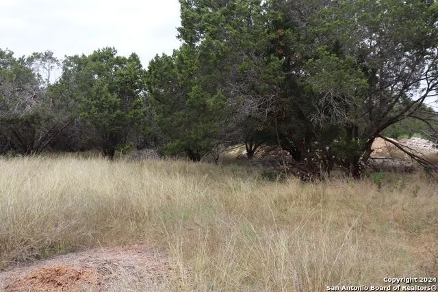 24 Quiet Meadow Cir Wimberley, TX 78676