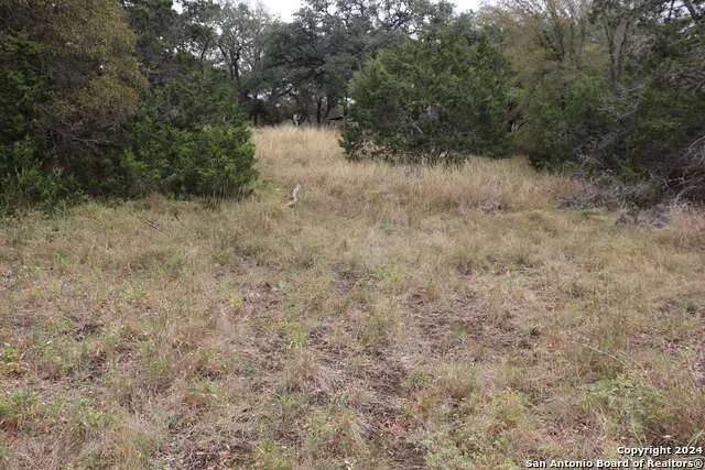 24 Quiet Meadow Cir Wimberley, TX 78676