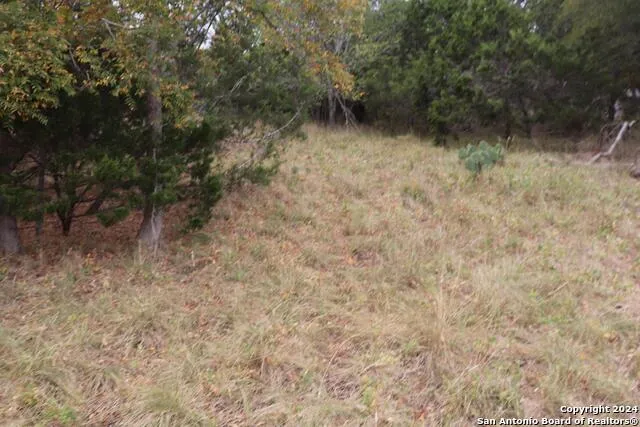 24 Quiet Meadow Cir Wimberley, TX 78676