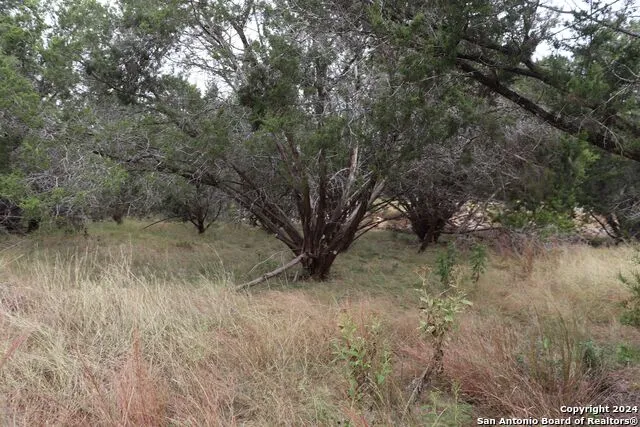 24 Quiet Meadow Cir Wimberley, TX 78676