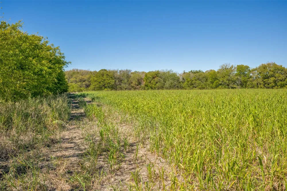 View Road Sanger, TX 76266