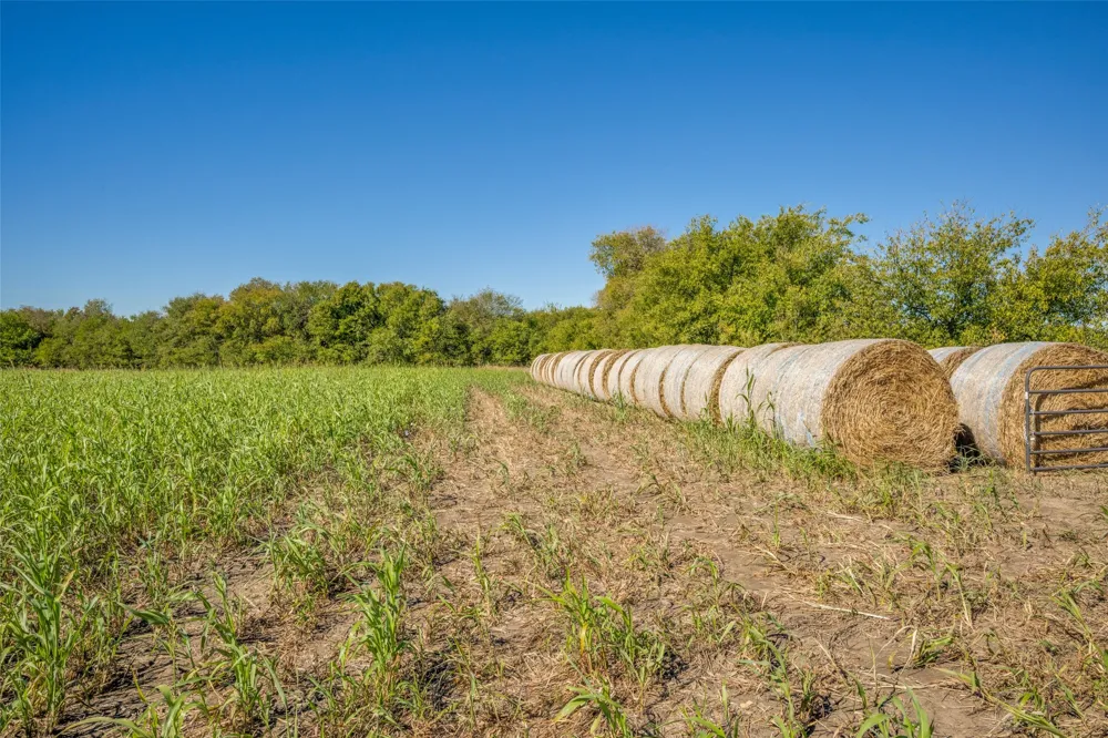View Road Sanger, TX 76266