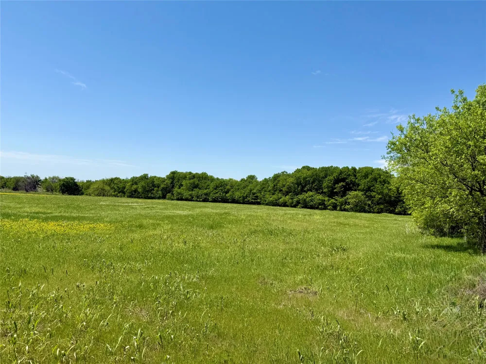 View Road Sanger, TX 76266