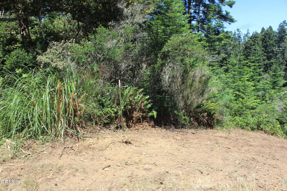 44068 Ocean Vista Court Mendocino, CA 95460