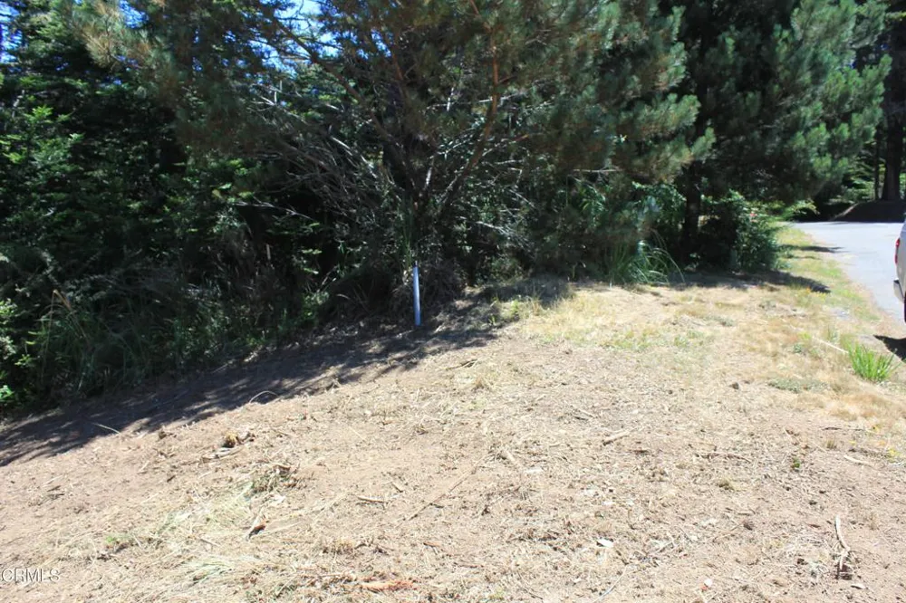 44068 Ocean Vista Court Mendocino, CA 95460