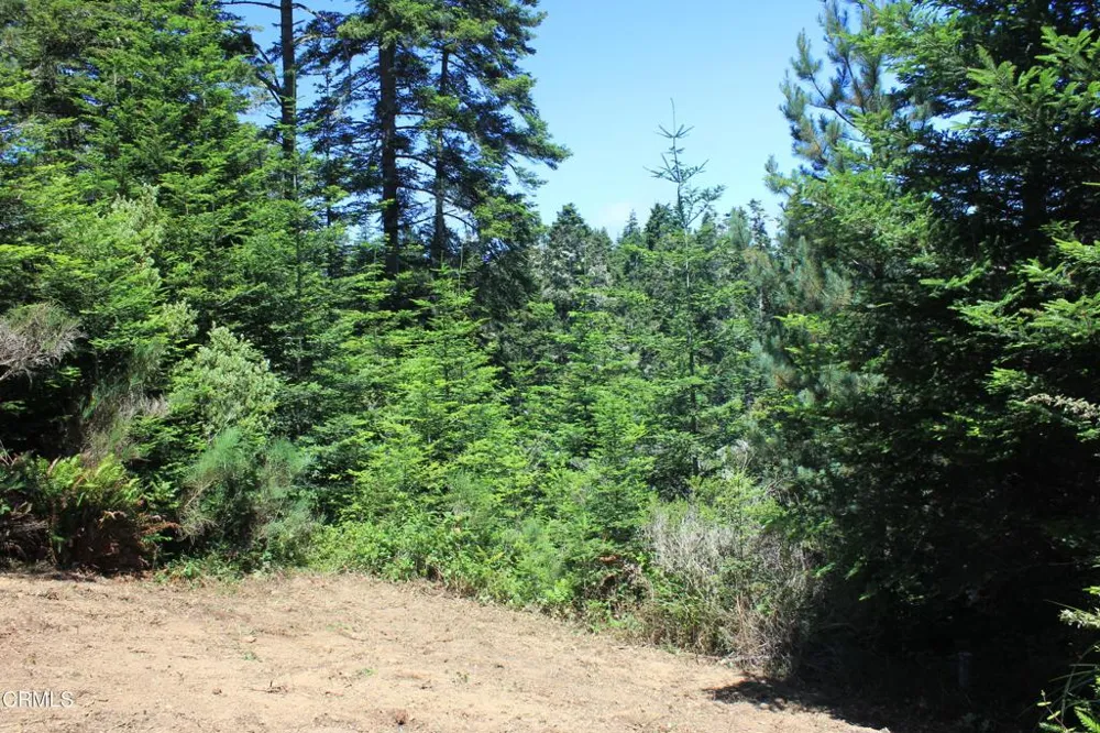 44068 Ocean Vista Court Mendocino, CA 95460