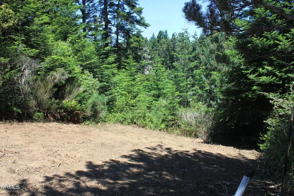 44068 Ocean Vista Court Mendocino, CA 95460
