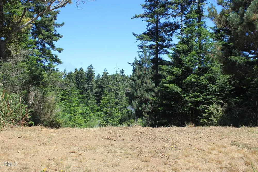 44068 Ocean Vista Court Mendocino, CA 95460