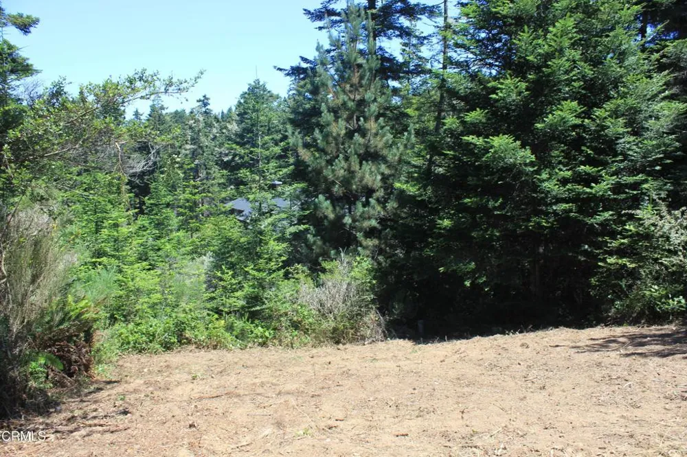 44068 Ocean Vista Court Mendocino, CA 95460