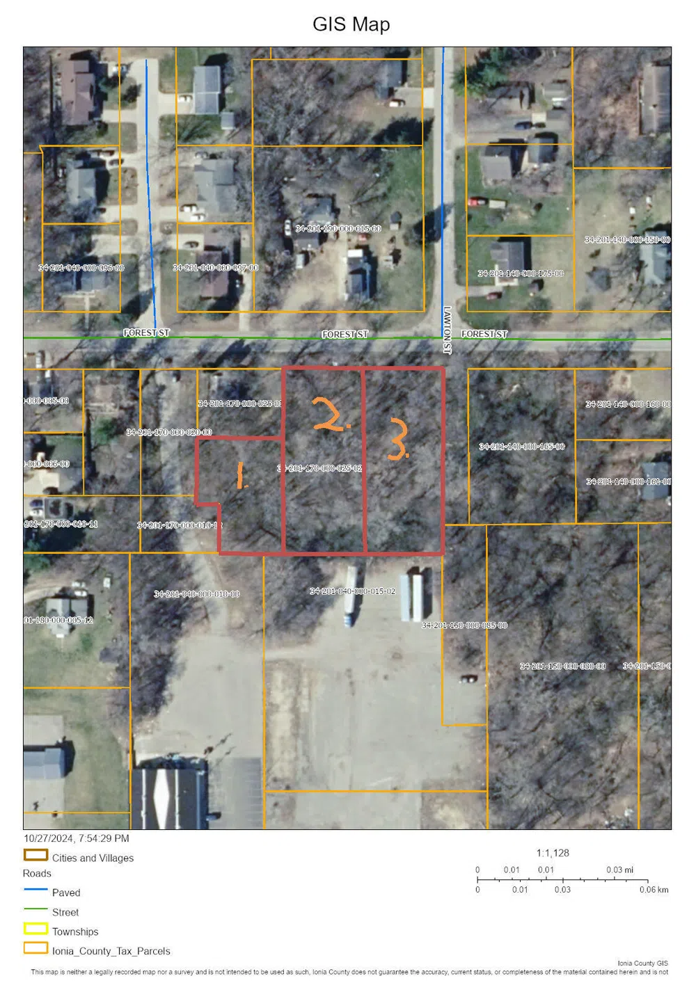 407 Forest Street Ionia, MI 48846