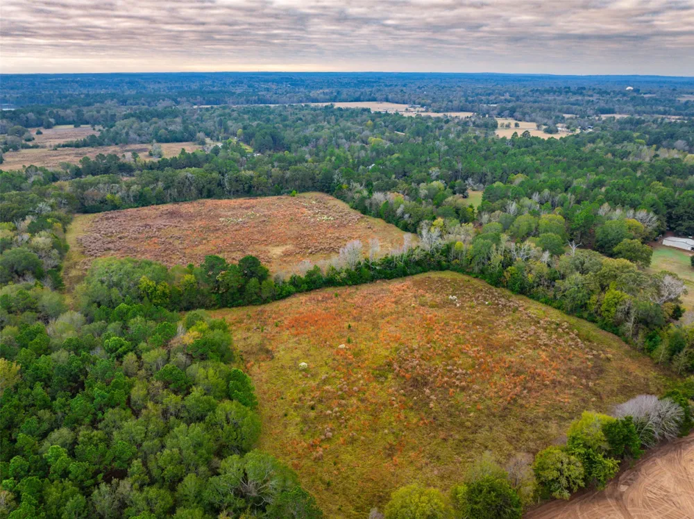 Anderson County Road 163 Elkhart, TX 75839