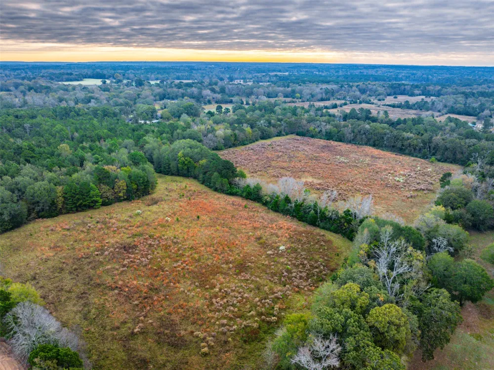 Anderson County Road 163 Elkhart, TX 75839