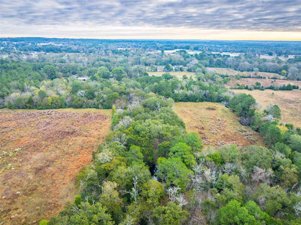 Anderson County Road 163 Elkhart, TX 75839
