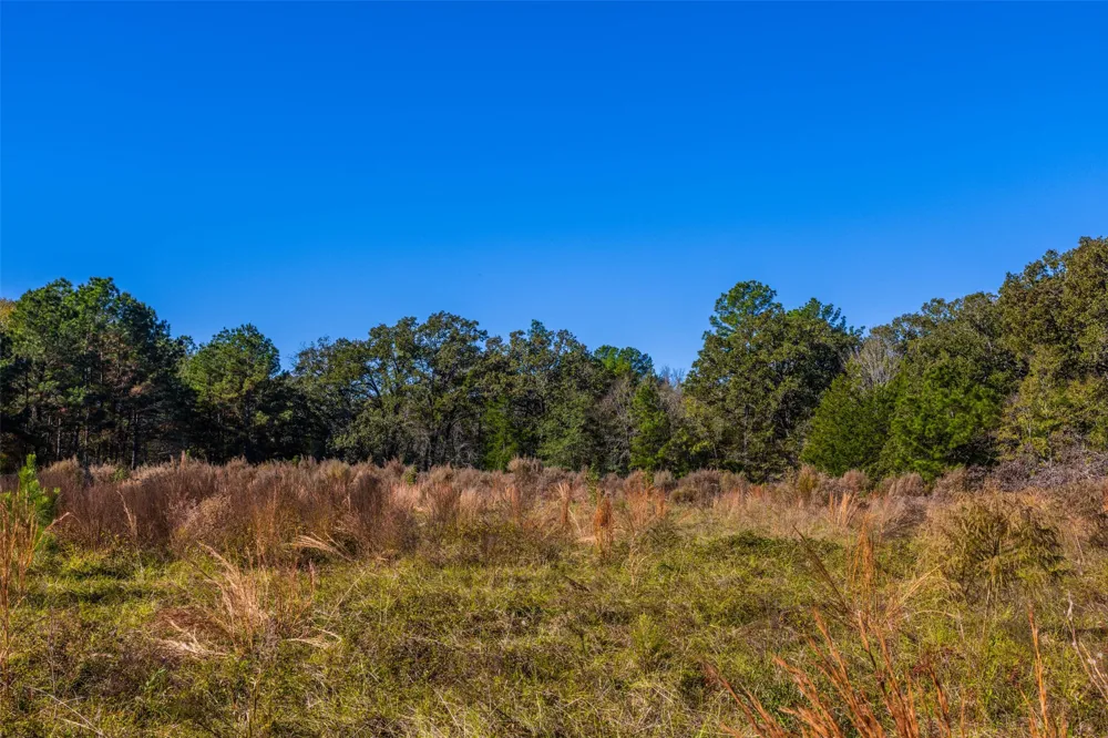Anderson County Road 163 Elkhart, TX 75839