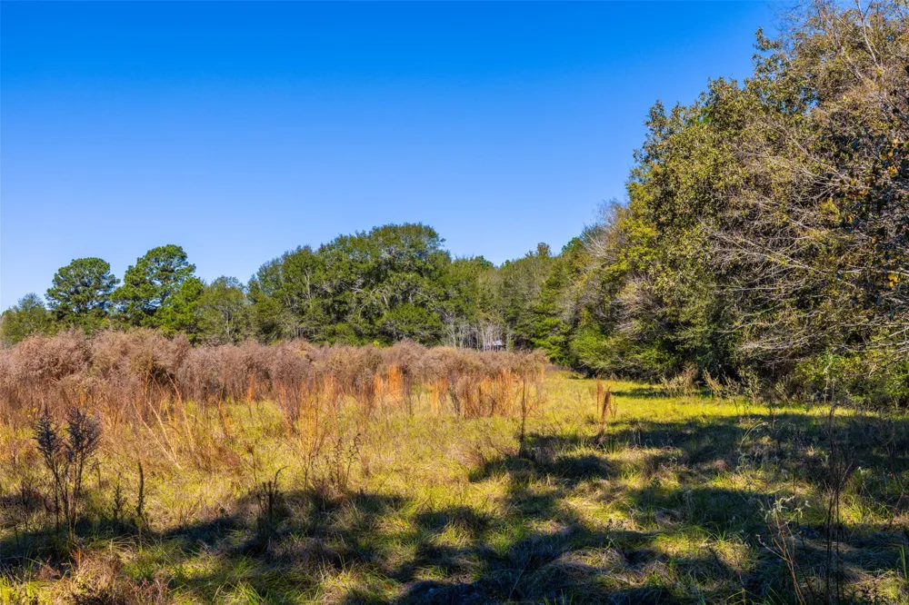 Anderson County Road 163 Elkhart, TX 75839