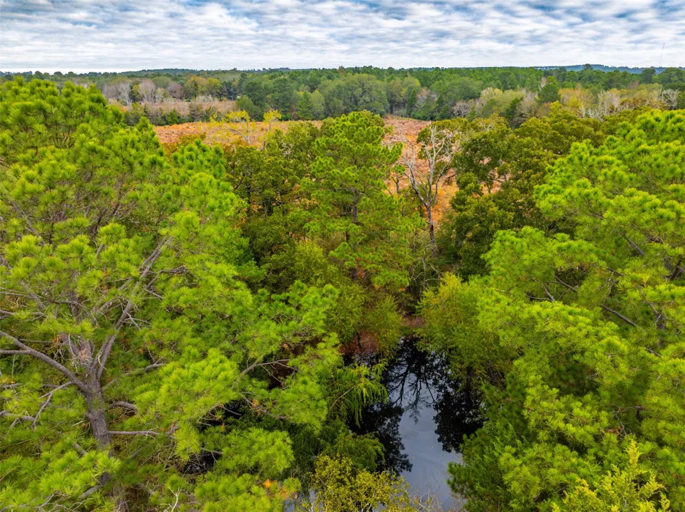 Anderson County Road 163 Elkhart, TX 75839
