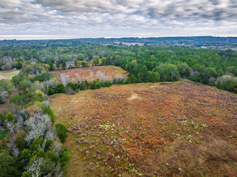 Anderson County Road 163 Elkhart, TX 75839