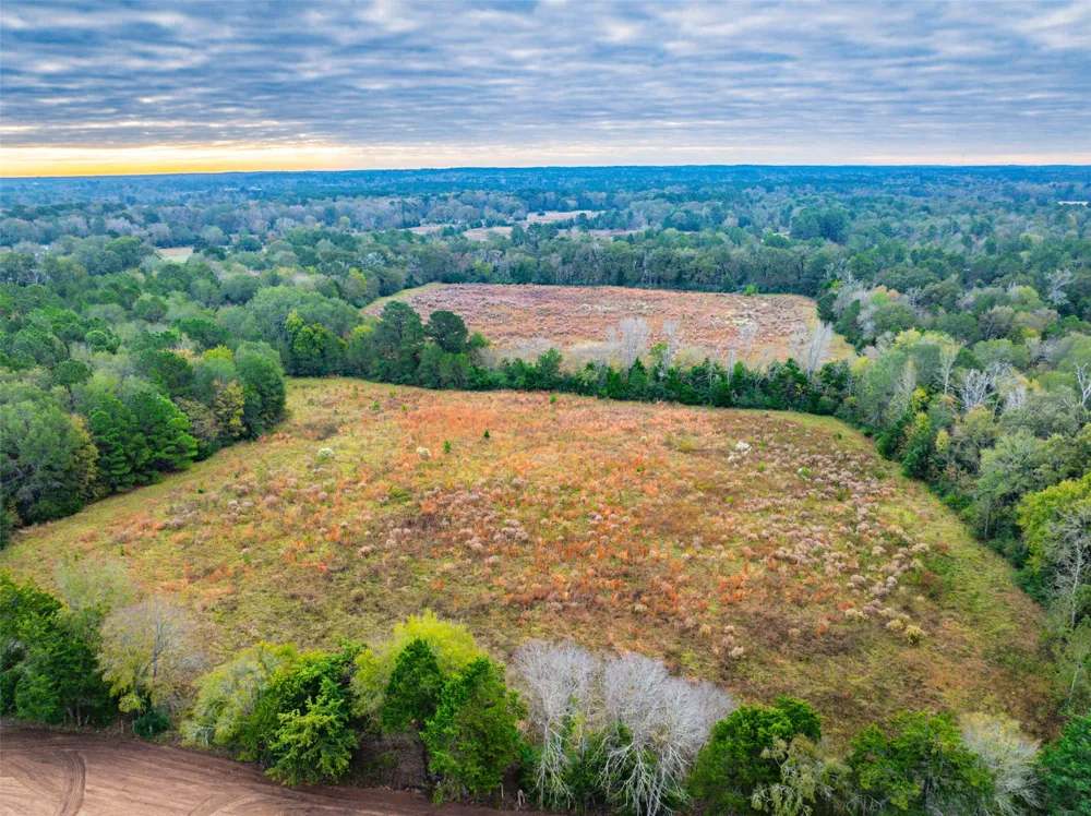Anderson County Road 163 Elkhart, TX 75839