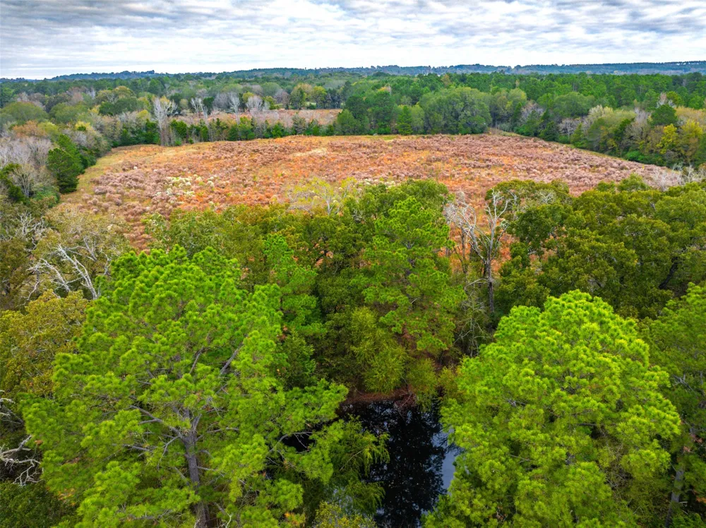 Anderson County Road 163 Elkhart, TX 75839