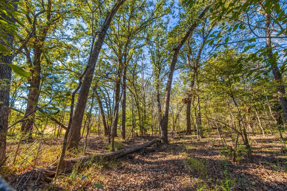 Anderson County Road 163 Elkhart, TX 75839